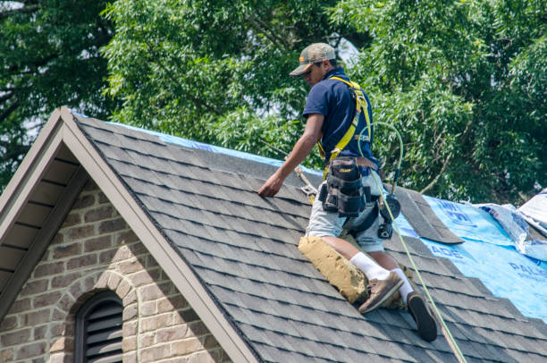 Best Local Roofing Companies  in Bentonville, AR